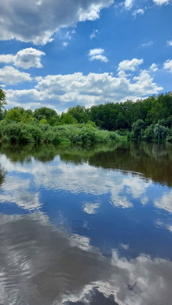 Photograph by ЭЛЬМИРА  ИСМАИЛОВА