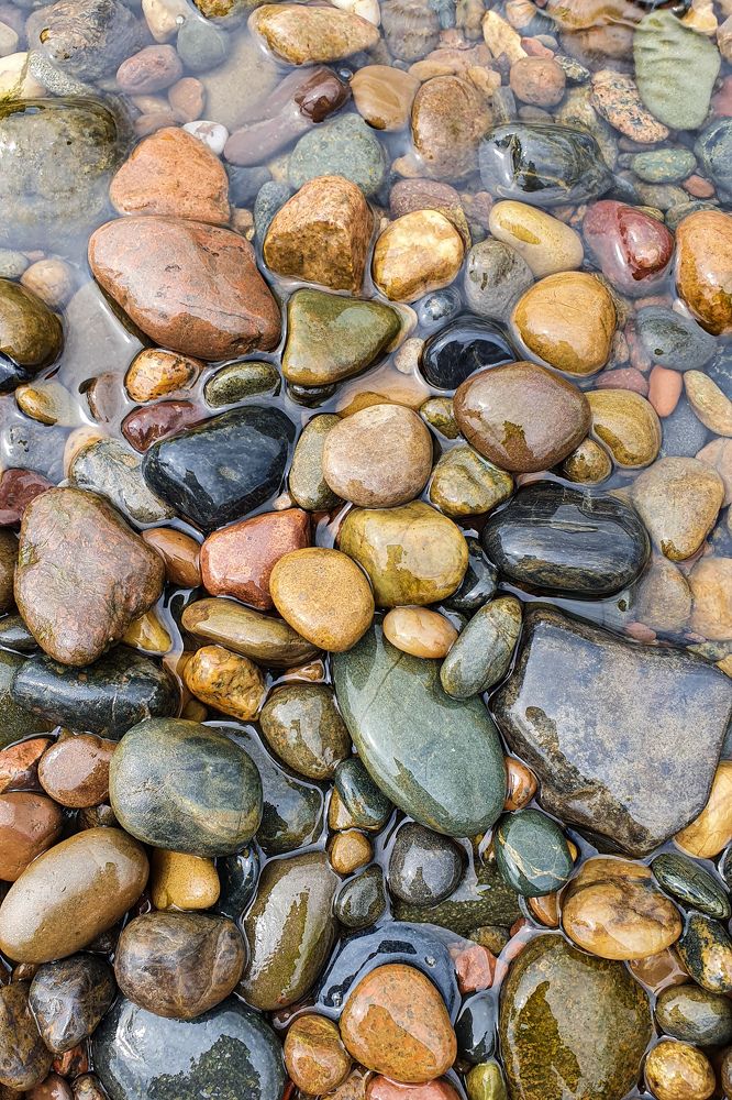 Photograph by Дарья Целуйко