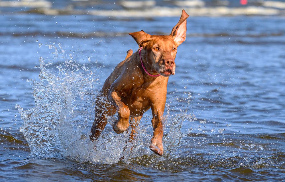 Photograph by Мария Новоселецкая