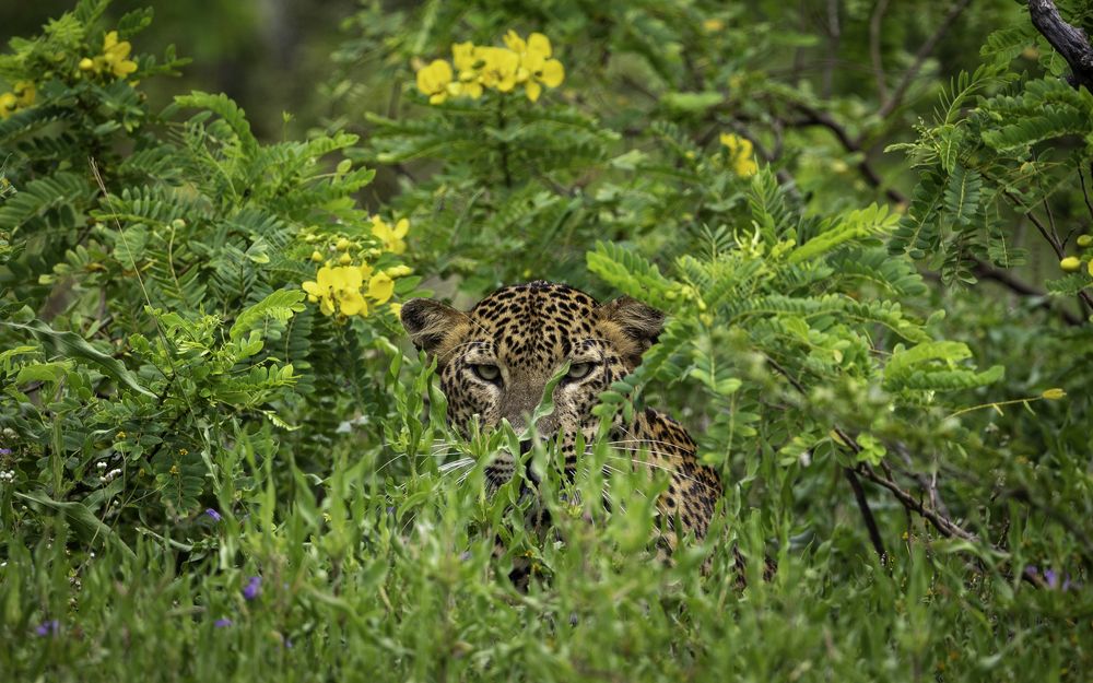Photograph by Yuganthan Nallusamy