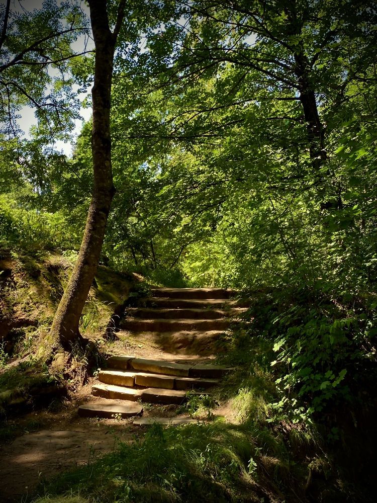 Photograph by Мария Вершинина