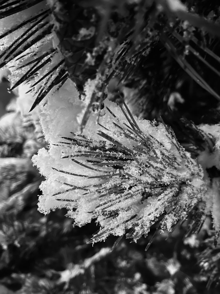 Фотография автора Ramin Ismayilov