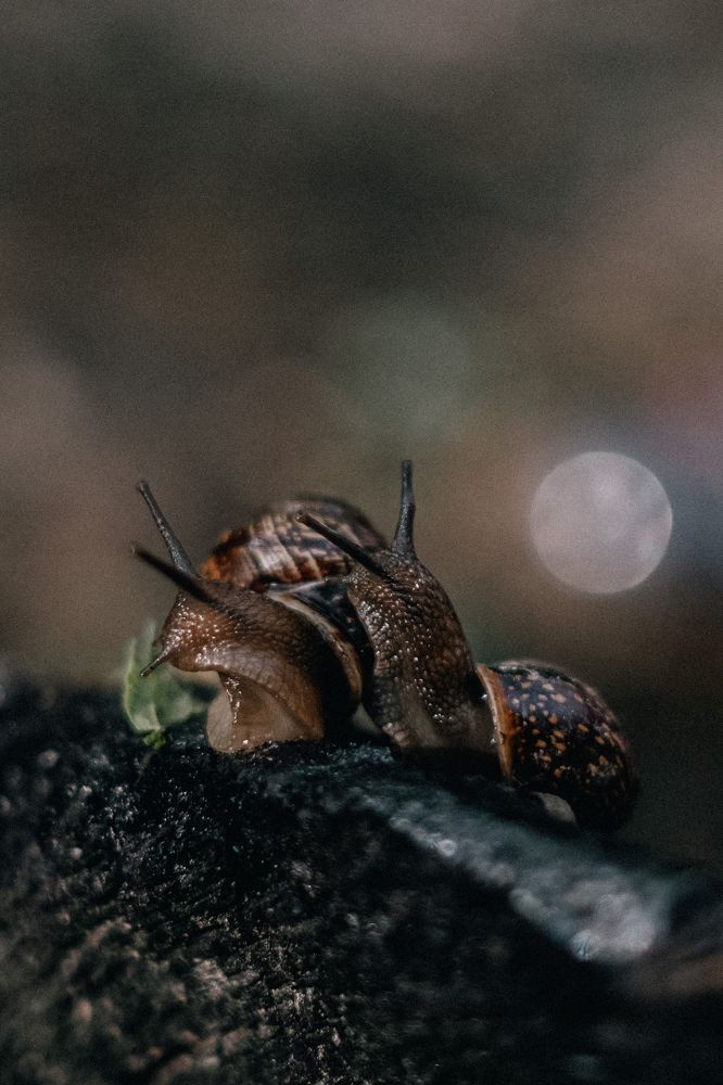 Photograph by Екатерина Бердутина