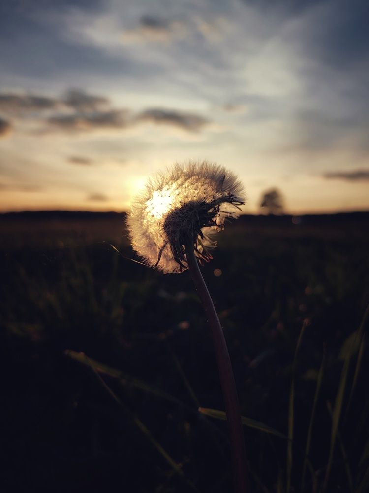 Photograph by Наталья Жуковская