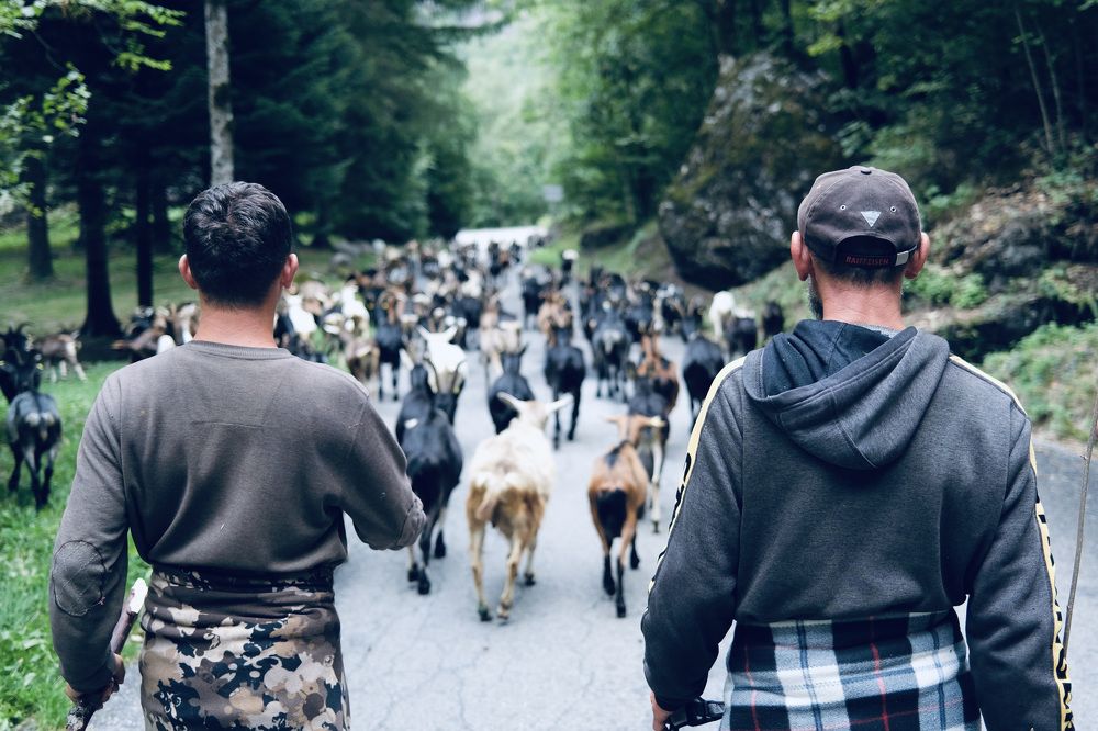 Traffico in Bavona senza rumore