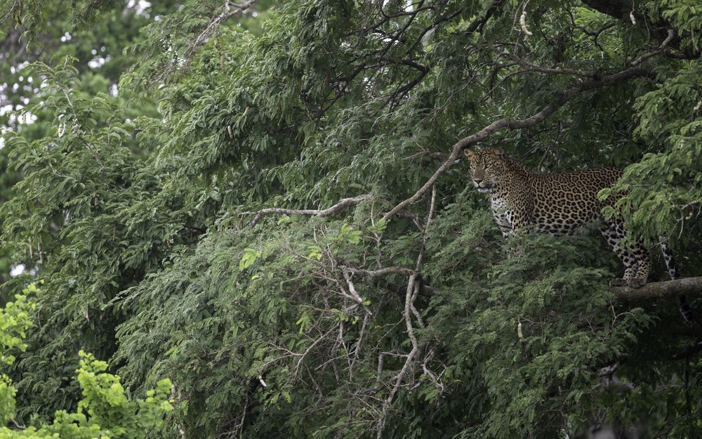 Photograph by Yuganthan Nallusamy