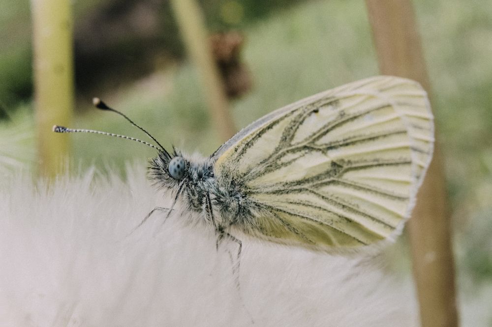 Photograph by Екатерина Бердутина