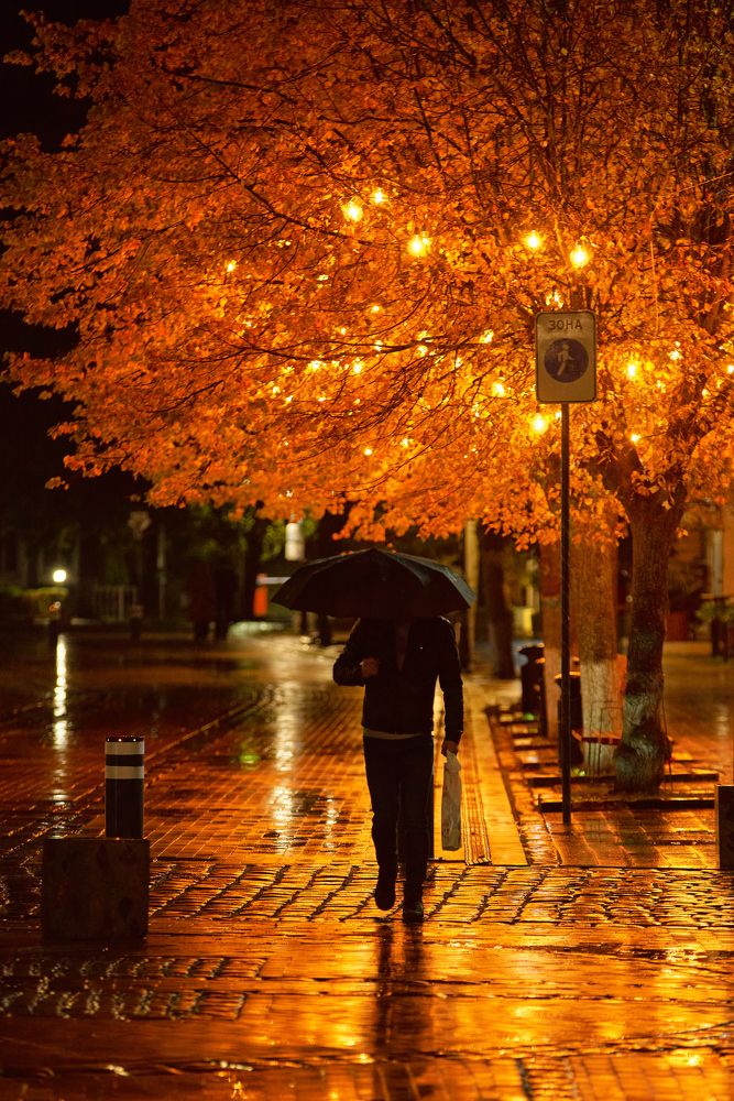 Photograph by Евгений Доз