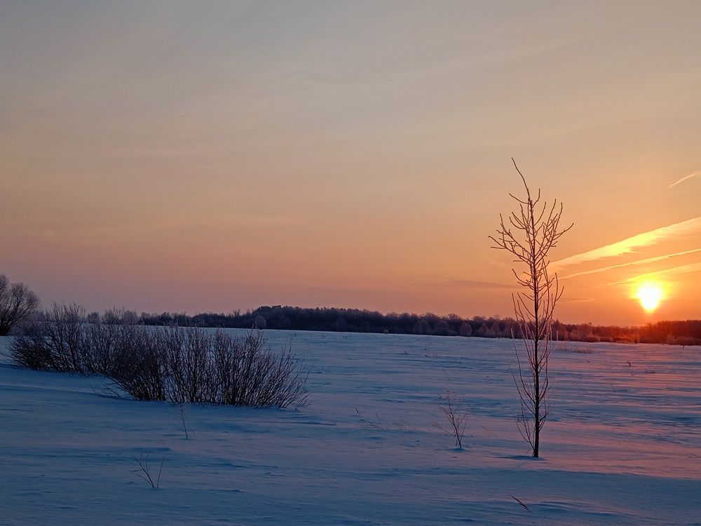 Photo #10433881
