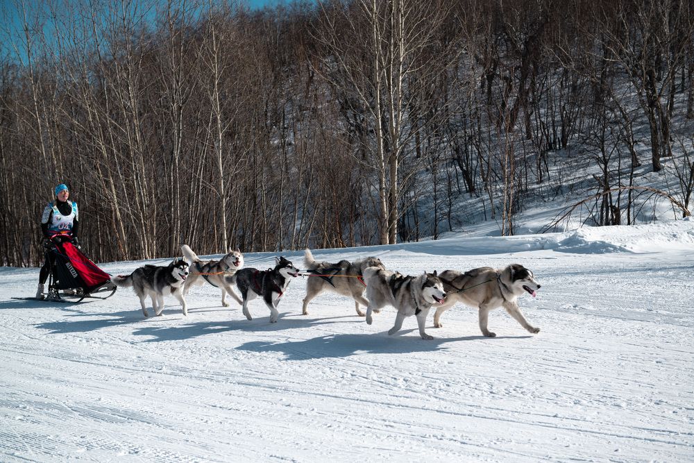 Photograph by Екатерина Швец