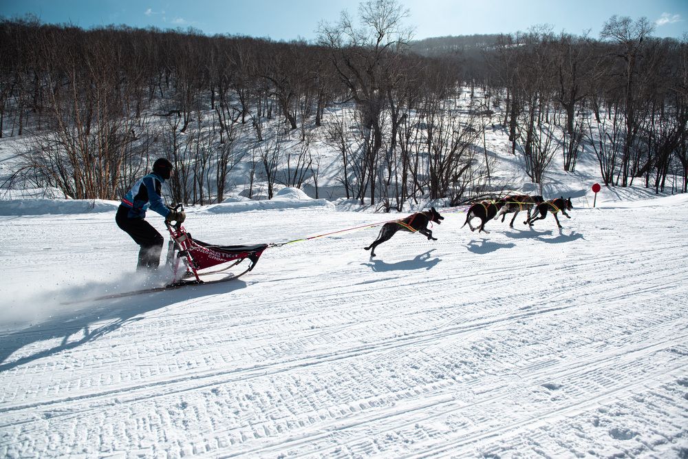 Photograph by Екатерина Швец
