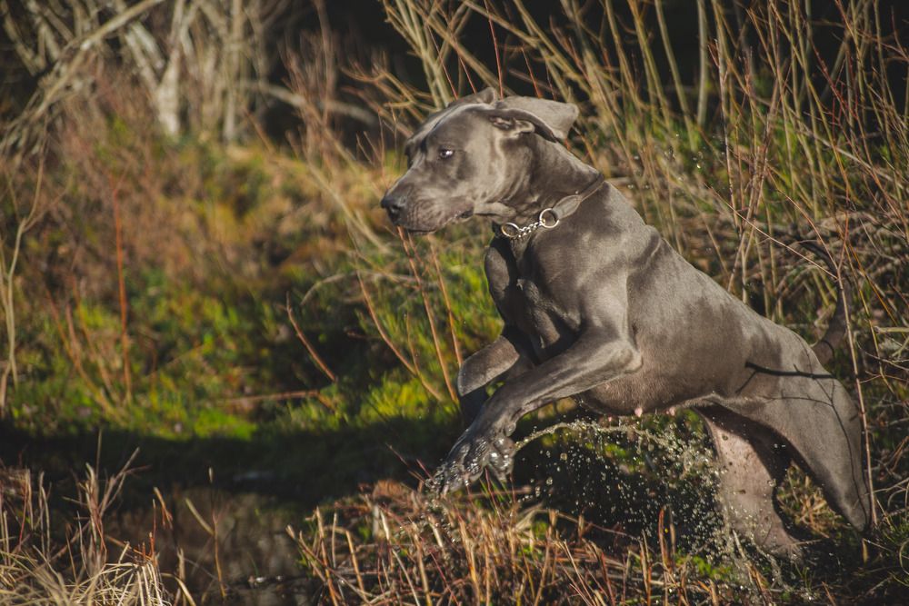 Фотография автора Aлексей Игнатьев