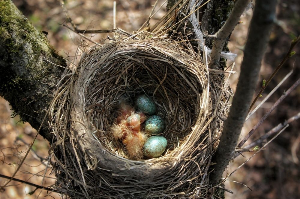 Photograph by Evgrashina Karina