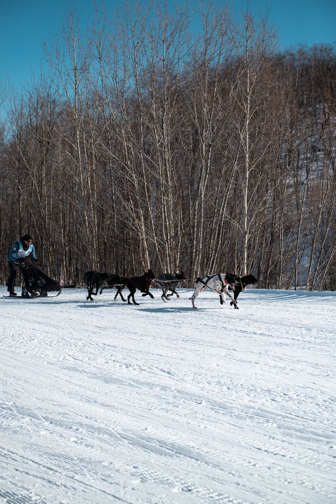 Photograph by Екатерина Швец