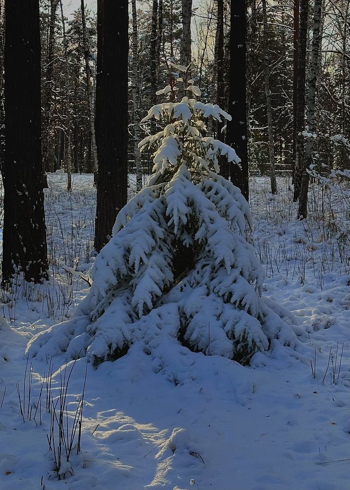 Photograph by Мария Вершинина