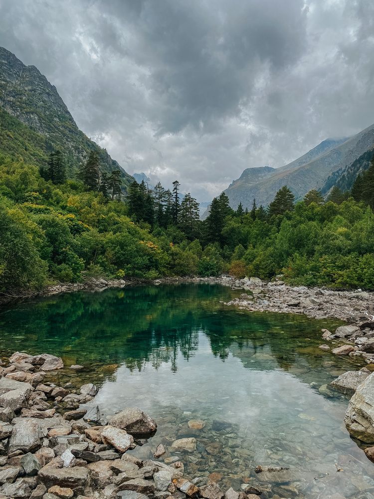 Photograph by Ксения Гасица