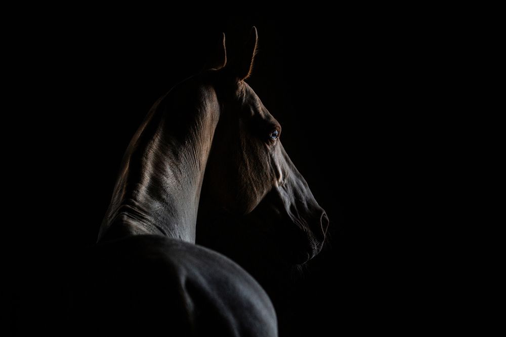 Photograph by Кристина Ксендзова