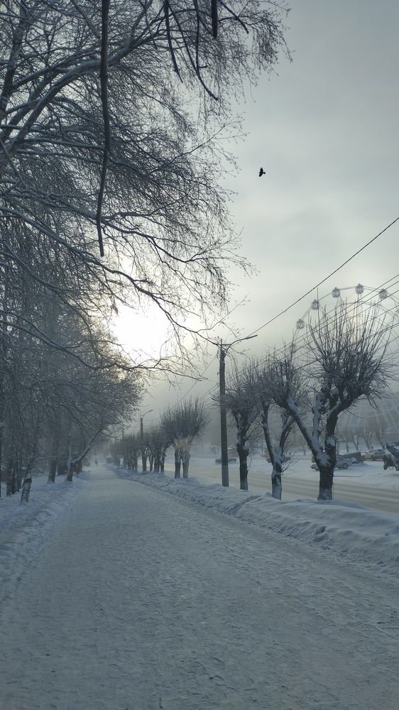 Photograph by Наталия Казаринова