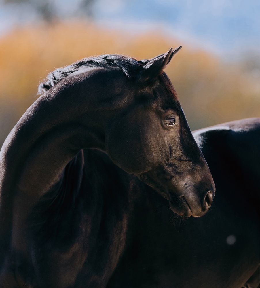 Photograph by Кристина Ксендзова