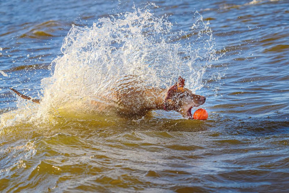 Photograph by Мария Новоселецкая
