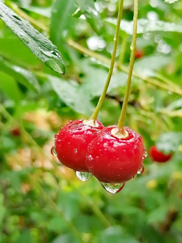 Photograph by Татьяна Бешенкина