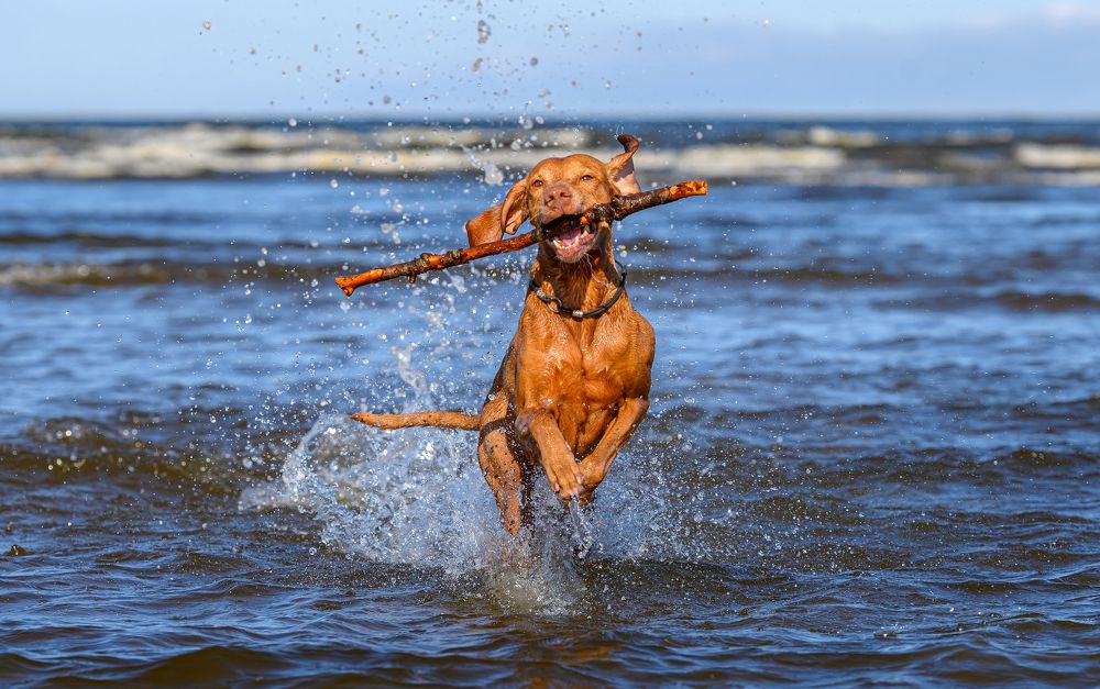 Photograph by Мария Новоселецкая