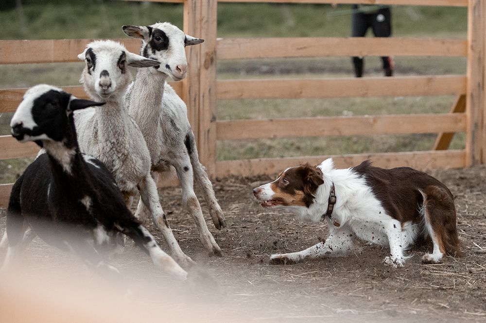 Photograph by Ольга Легенькая