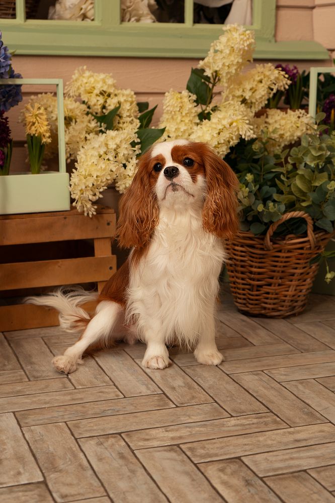 Photograph by Анна Марковская