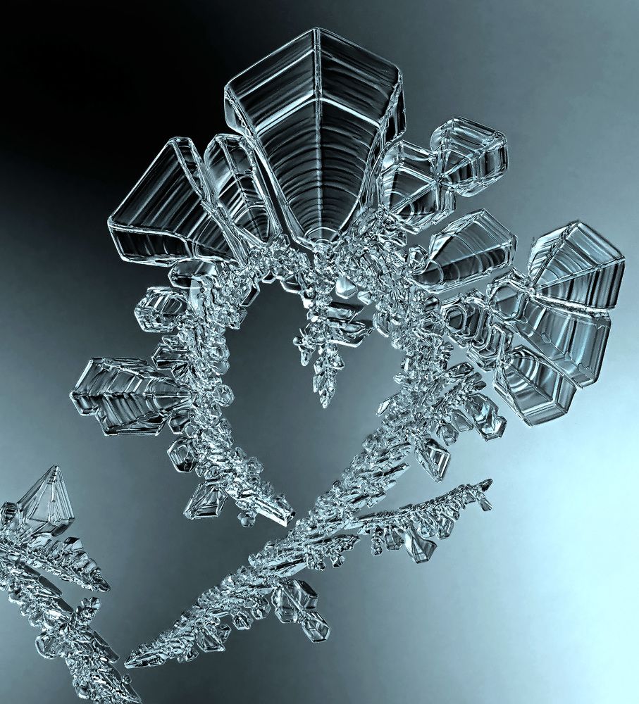 Чудеса природы