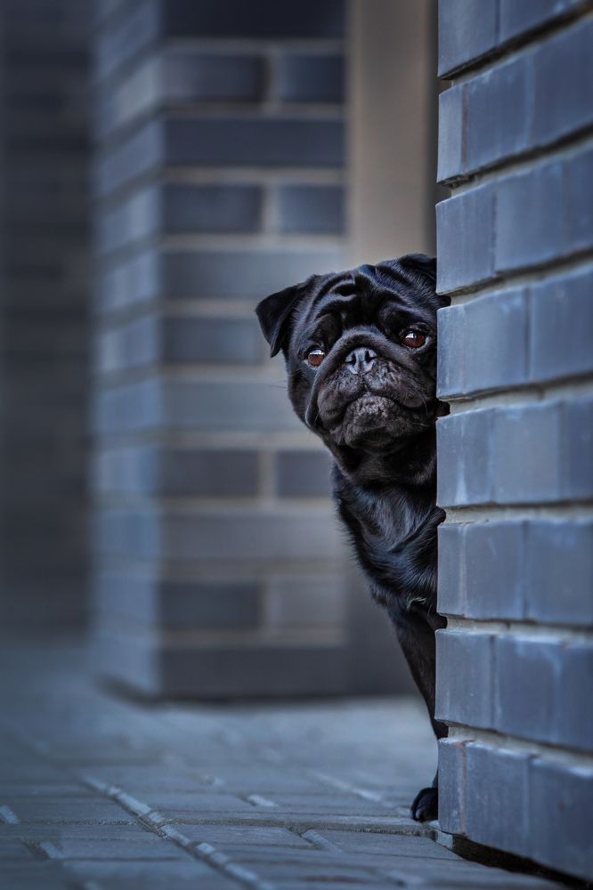 Photograph by Алена Райфутдинова