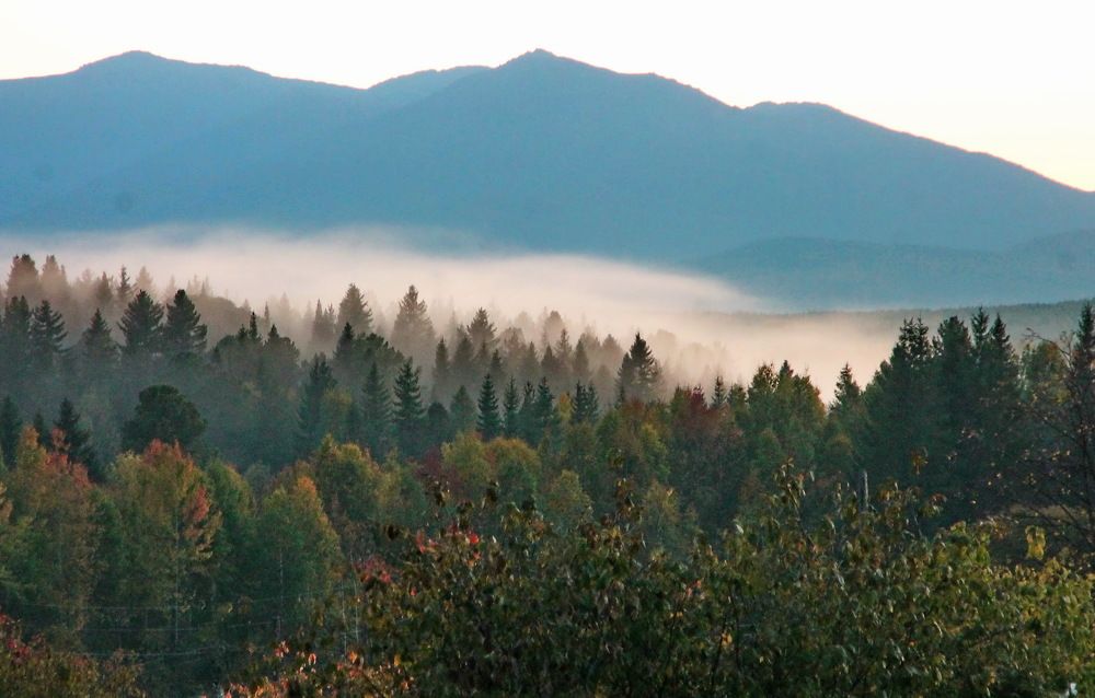 Photograph by Сергей Петров