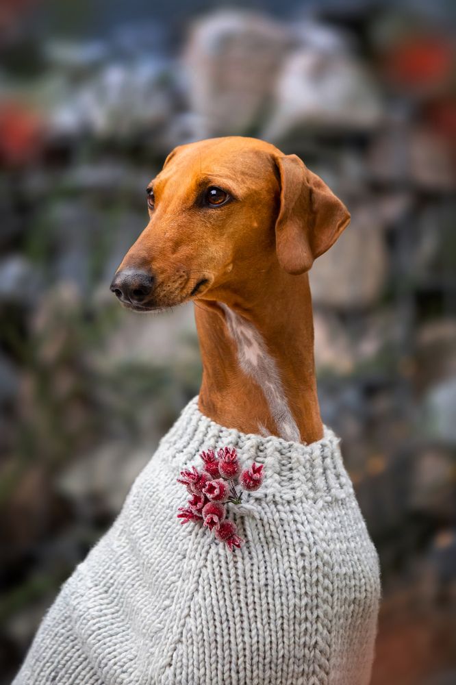 Photograph by Алена Райфутдинова