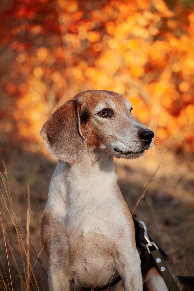 Фотография автора Мария Семенова