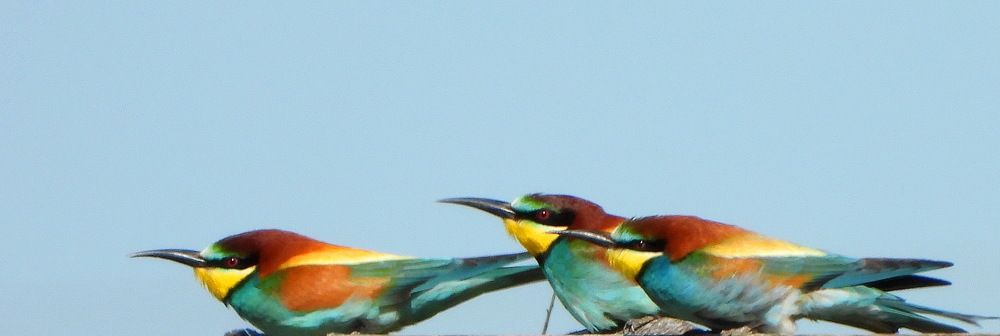 Photograph by Дмитрий Дрозд