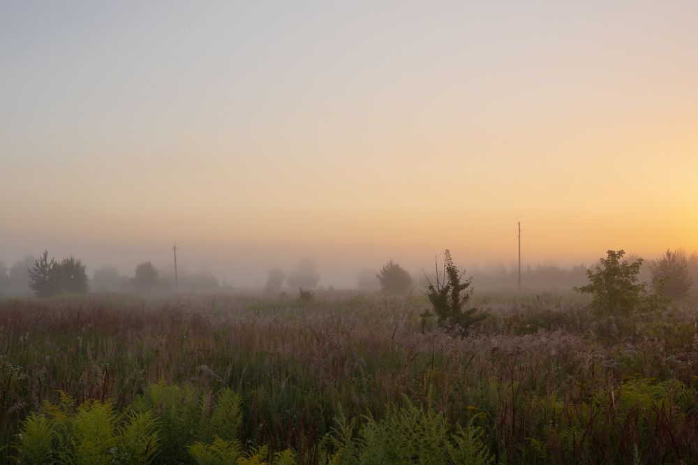 Photograph by Олег Дорошенко