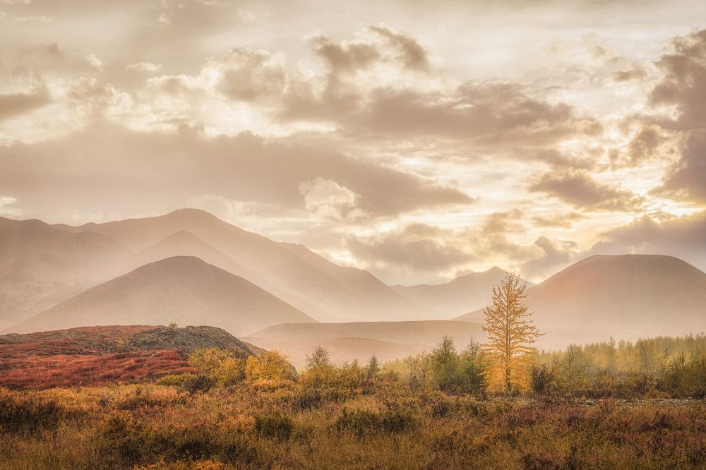 Photograph by Полякова Наталия