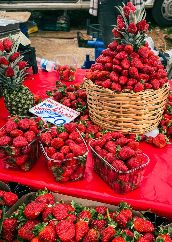 Photograph by Misha Khazov