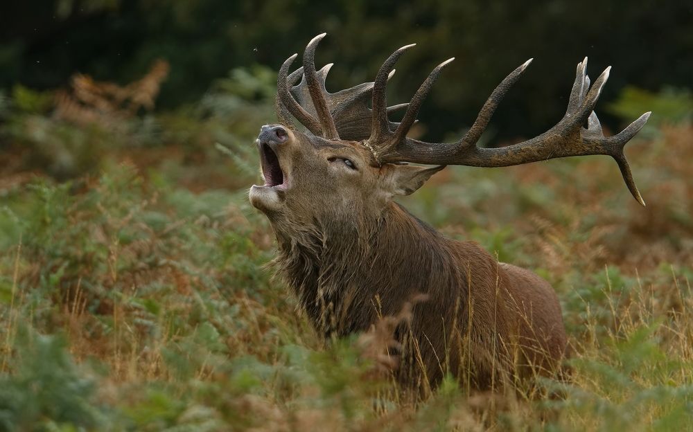 Фотография автора Kowalski Jaroslaw