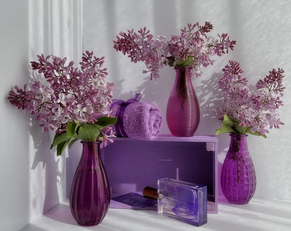 Фотография автора Рамзия Хисамутдинова