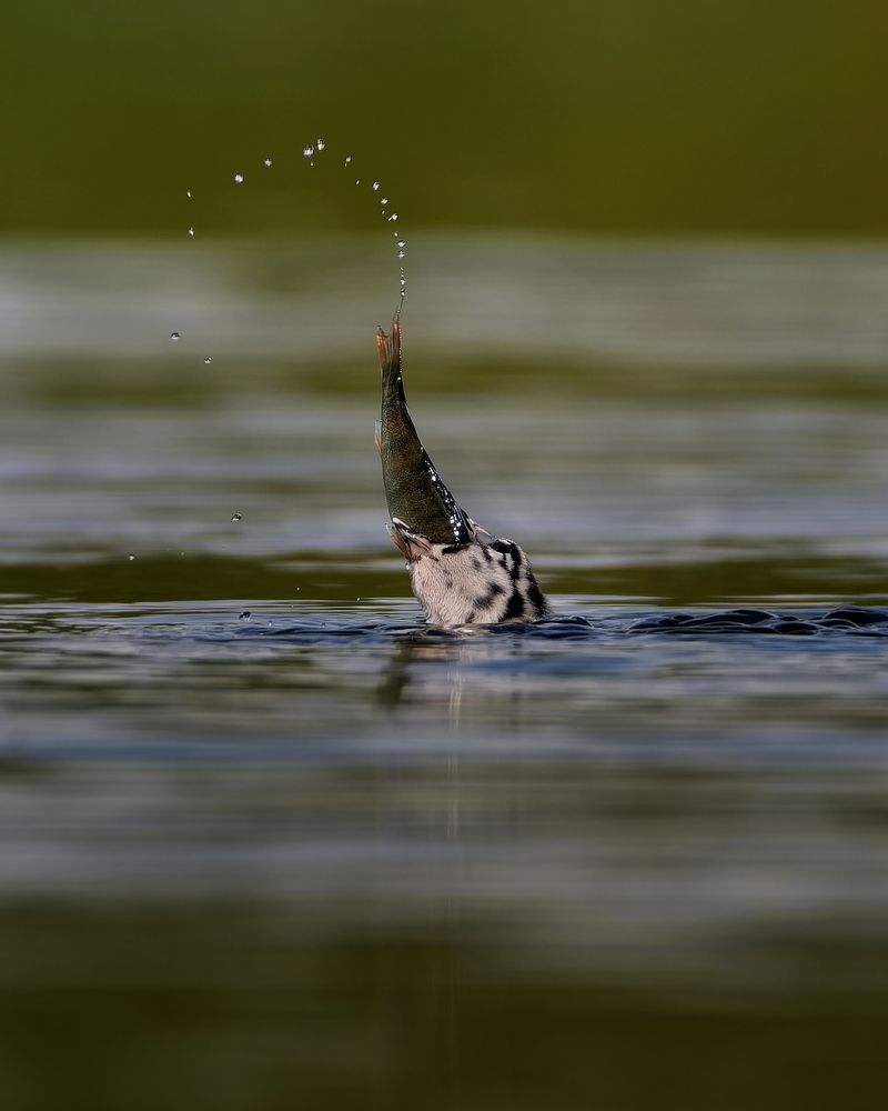 Фотография автора Kowalski Jaroslaw