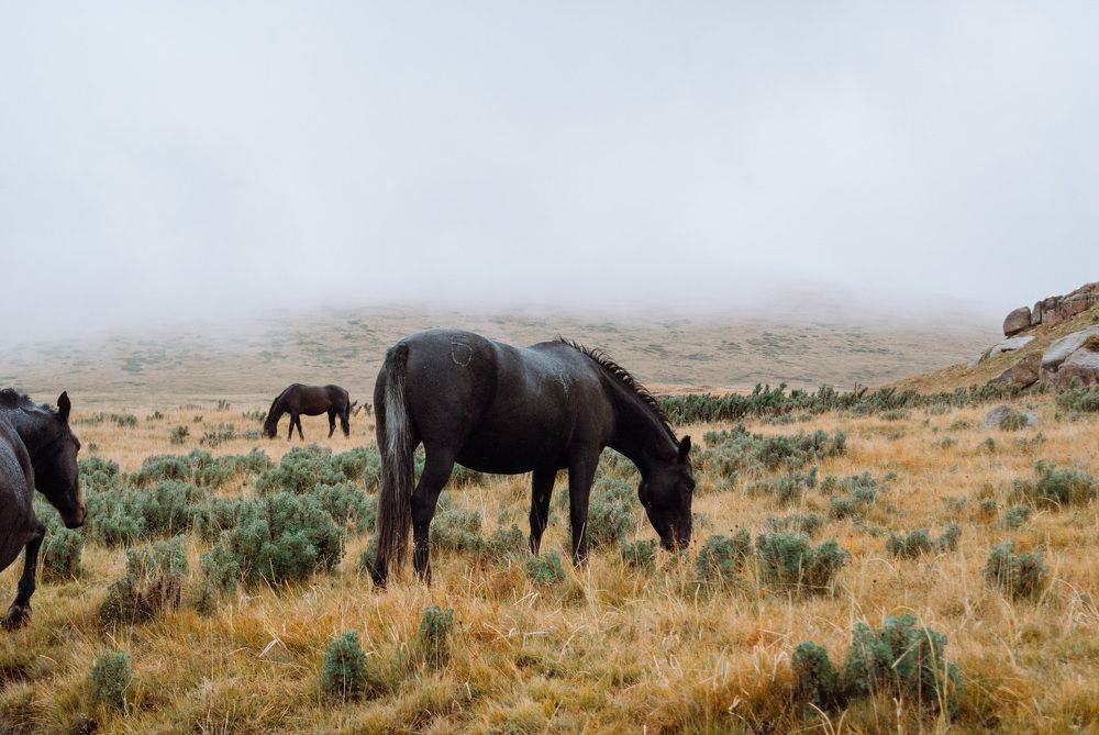 Photograph by Татьяна Карпенко