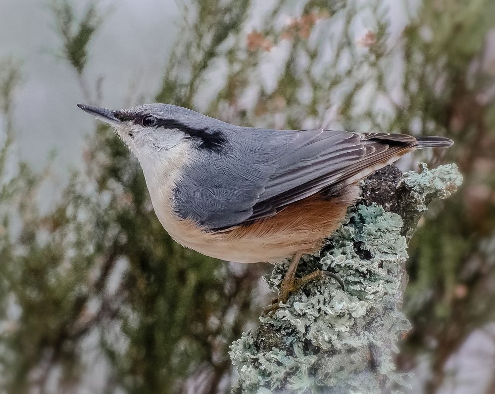 Photograph by Роман Кудрявцев