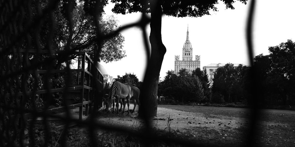 Photograph by Андрей Шелуков