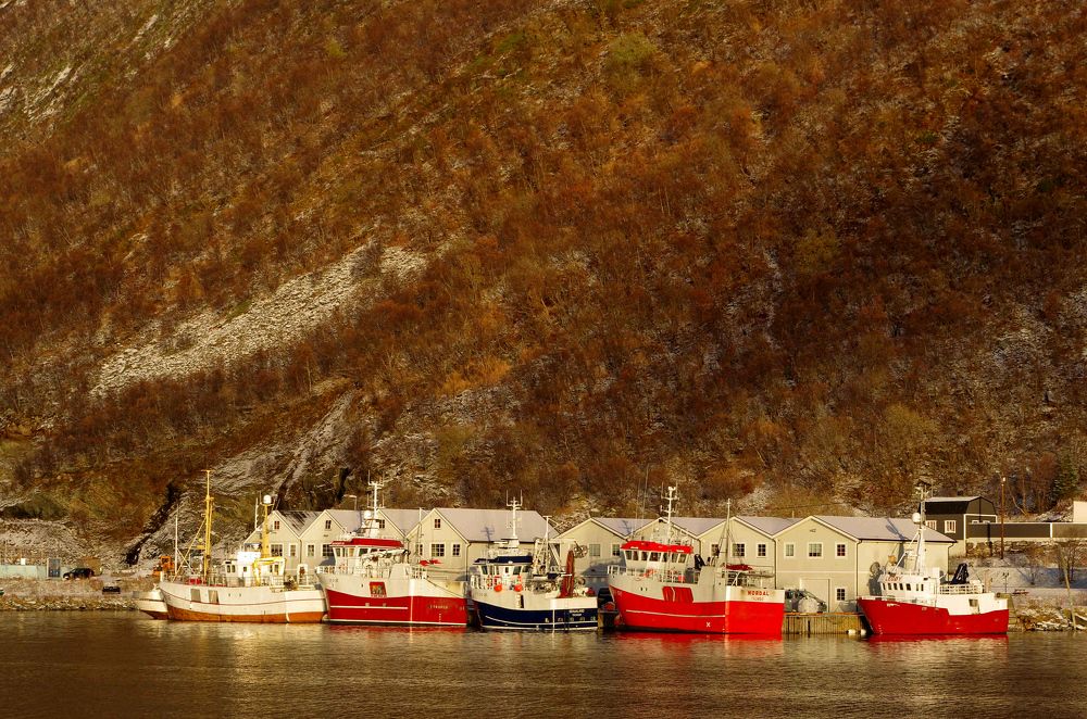 Photograph by Radu Marian