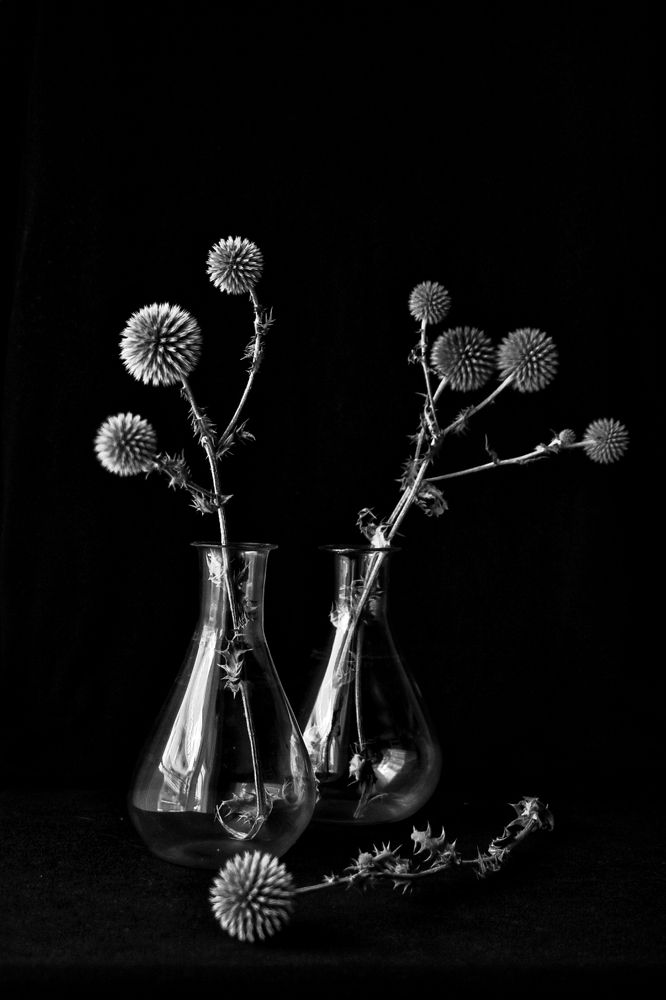 Фотография автора Екатерина Круглик