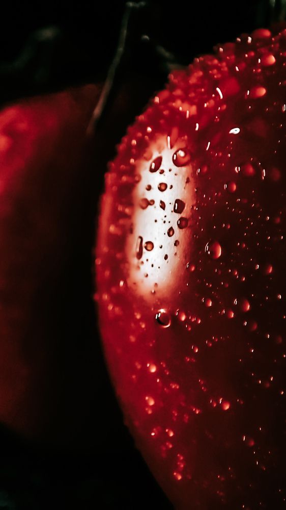 Photograph by Людмила Сергеева