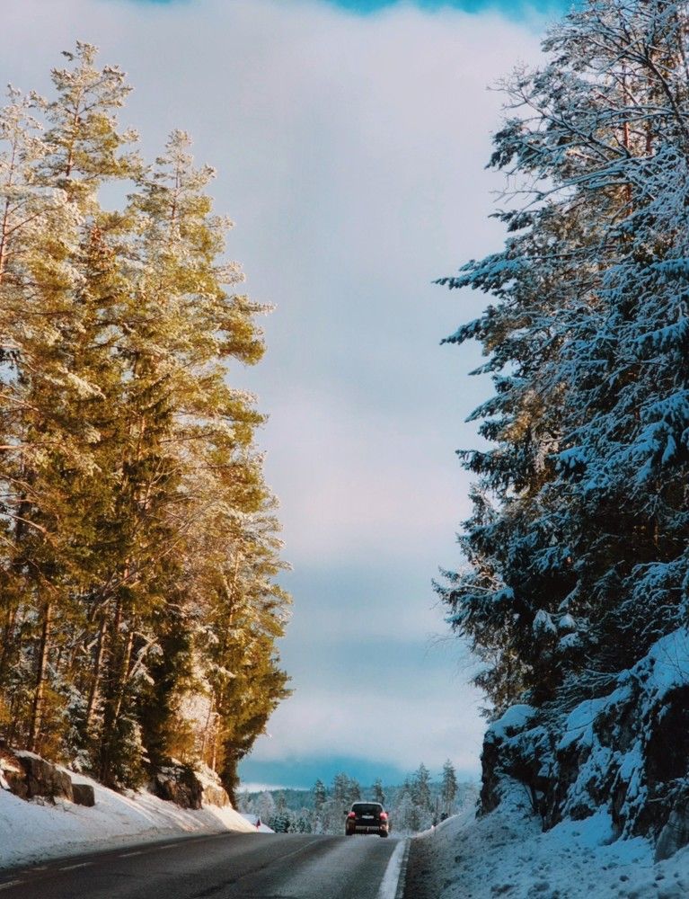 Фотография автора Alina Filimonova