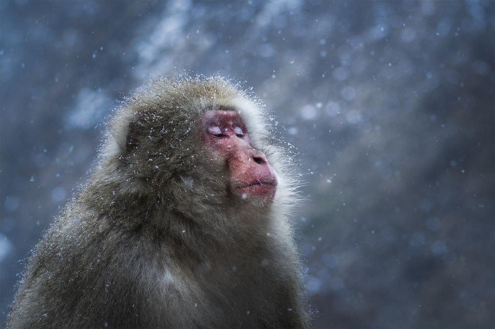 Photograph by Manaska Mukhopadhyay