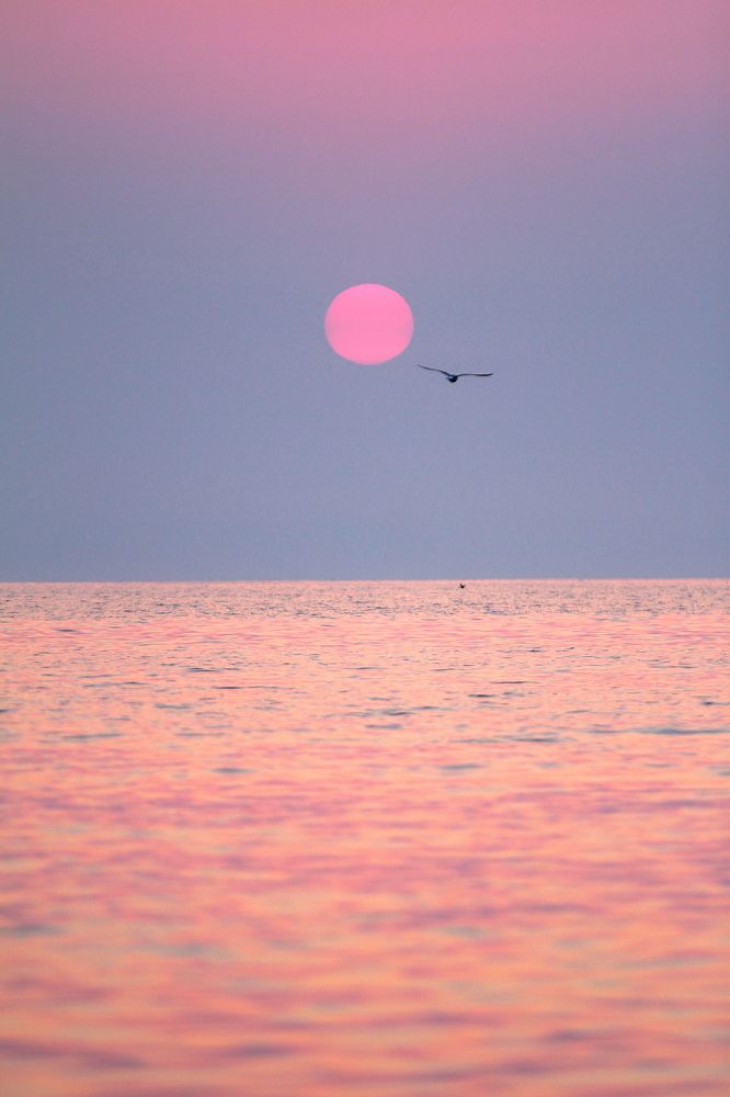 Photograph by Мария Маркина