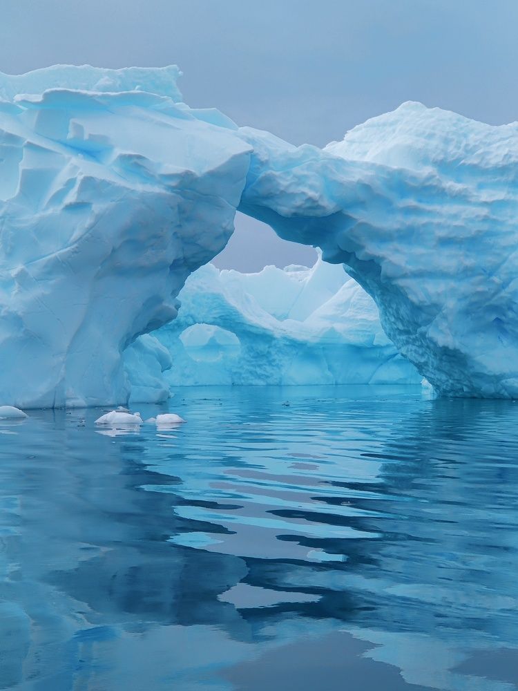 Photograph by ANASTASIA SHCHEPILOVA